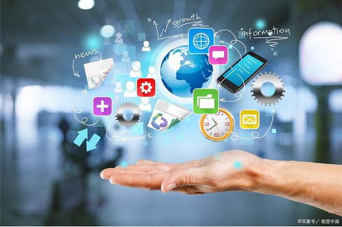 未來寵物護(hù)理新紀(jì)元 動(dòng)物互聯(lián)網(wǎng)醫(yī)院系統(tǒng)的前沿科技探索